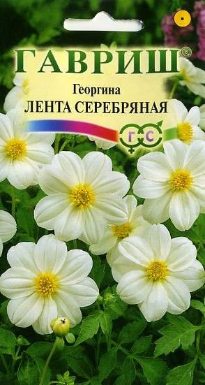 Георгина Лента серебряная (г) 0,2гр  – купить в г. Омск