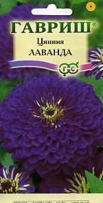 Цинния Лаванда (гавриш) 0,5гр  – купить в г. Омск