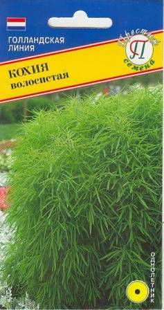 Кохия волосистая (престиж) 1,0гр  – купить в г. Омск