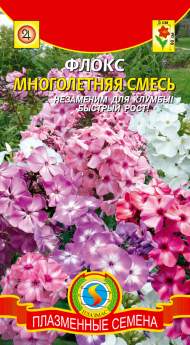 Флокс Многолетняя смесь (плазмас) 5 шт