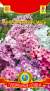 Флокс Многолетняя смесь (плазмас) 5 шт  – купить в г. Омск