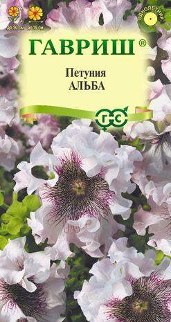 Петуния Альба (гавриш) 7 шт – купить в г. Омск Петуния Альба (гавриш) 7 шт – купить в г. Омск
