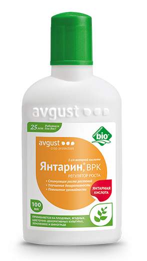 Янтарин 100мл (август)  – купить в г. Омск