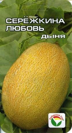 Дыня Сережкина любовь (сибирский сад) 5 шт  – купить в г. Омск