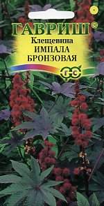 Клещевина Импала бронзовая (гавриш) 5 шт  – купить в г. Омск