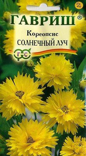 Кореопсис Солнечный луч (гавриш) 0,1 гр  – купить в г. Омск