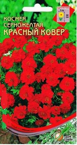 Космея серножелтая Красный ковер (дом семян) 30 шт – купить в г. Омск Космея серножелтая Красный ковер (дом семян) 30 шт – купить в г. Омск