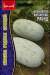 Бенинказа китайская Раунд (восковая тыква) (Григорьев) 5 шт  – купить в г. Омск