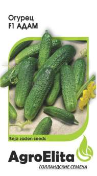 Огурец Адам F1 (агроэлита) 5 шт (bejo) Огурец Адам F1 (агроэлита) 5 шт (bejo)
