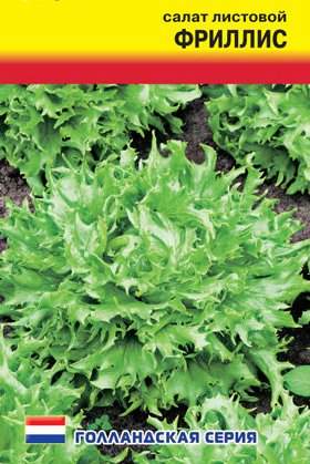 Салат листовой Фриллис (престиж) 7 шт (seminis)
