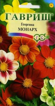 Георгина Монарх (гавриш) 0,3гр