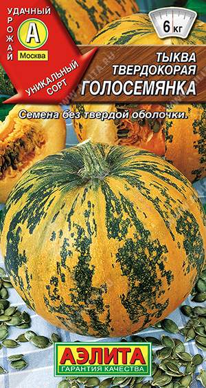 Тыква твердокорая Голосемянка (аэлита) 1,0 гр – купить в г. Омск Тыква твердокорая Голосемянка (аэлита) 1,0 гр – купить в г. Омск