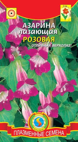 Азарина лазающая розовая (плазмас) 10 шт  – купить в г. Омск