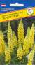 Люпин Канделябр (престиж) 15 шт многолетний  – купить в г. Омск