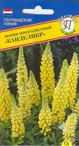 Люпин Канделябр (престиж) 15 шт многолетний  – купить в г. Омск
