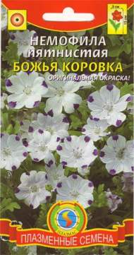Немофила Божья коровка (плазмас) 0,2гр Немофила Божья коровка (плазмас) 0,2гр