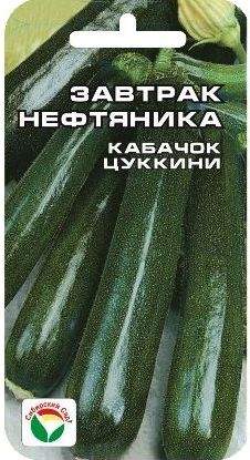 Кабачок Завтрак Нефтяника (сибирский сад) 5 шт – купить в г. Омск Кабачок Завтрак Нефтяника (сибирский сад) 5 шт – купить в г. Омск
