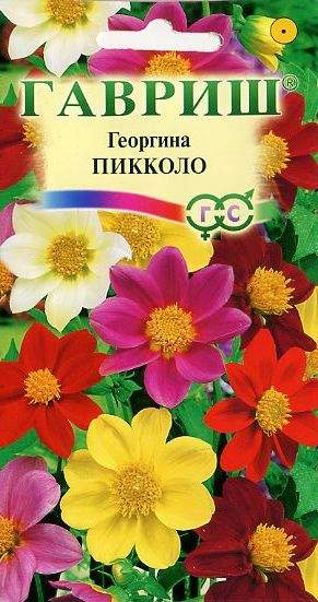 Георгина Пикколо (гавриш) 0,3гр  – купить в г. Омск