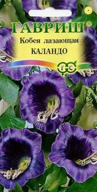 Кобея лазающая Каландо (гавриш) 5 шт