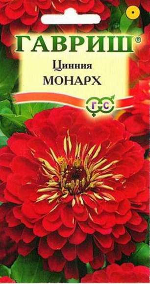 Цинния Монарх (гавриш) 0,3 гр  – купить в г. Омск