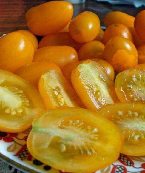 Томат Финик желтый F1 (нк) 15шт  – купить в г. Омск