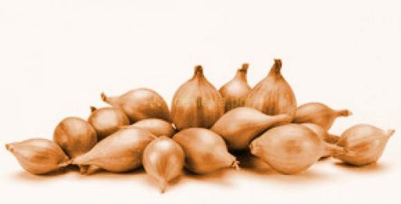  Лук-севок Геркулес F1 10-21мм (Голландия)   – купить в г. Омск