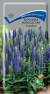 Вероника колосистая Голубая (поиск) 0,1гр  – купить в г. Омск
