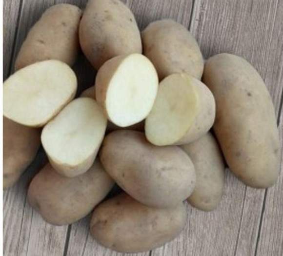 Картофель Варяг (упаковка 2кг+-10%)   – купить в г. Омск