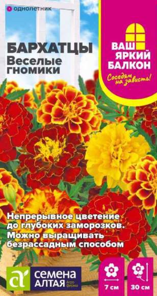 Бархатцы Веселые гномики (семена Алтая) 0,2 гр – купить в г. Омск Бархатцы Веселые гномики (семена Алтая) 0,2 гр – купить в г. Омск
