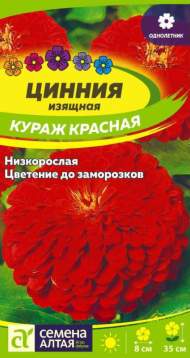Цинния Кураж красная (семена Алтая) 0,2 гр Цинния Кураж красная (семена Алтая) 0,2 гр