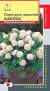 Пиретрум девичий Карлос (плазмас) 10шт  – купить в г. Омск
