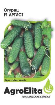 Огурец Артист F1 (агроэлита) 5 шт (bejo)