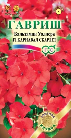 Бальзамин Карнавал скарлет F1 (гавриш) 4шт  – купить в г. Омск