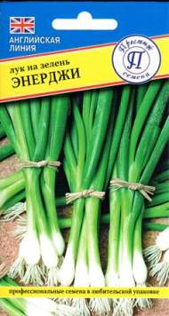 Лук на зелень Энерджи (престиж) 0,5 гр