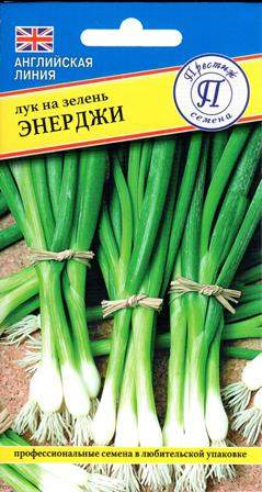 Лук на зелень Энерджи (престиж) 0,5 гр – купить в г. Омск Лук на зелень Энерджи (престиж) 0,5 гр – купить в г. Омск