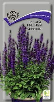 Шалфей пышный Фиолетовый (поиск) 0,1 гр