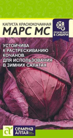 Капуста к/к Марс МС (семена Алтая) 0,3гр  – купить в г. Омск