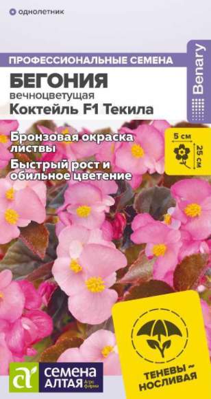 Бегония вечноцветущая Коктейль Текила F1 (семена Алтая) 5 шт – купить в г. Омск Бегония вечноцветущая Коктейль Текила F1 (семена Алтая) 5 шт – купить в г. Омск