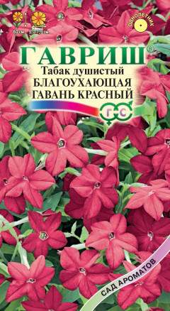 Душистый декоративный табак Благоухающая гавань красный  F1 (гавриш) 4шт  – купить в г. Омск