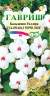 Бальзамин Карнавал черри липс F1 (гавриш) 4шт  – купить в г. Омск
