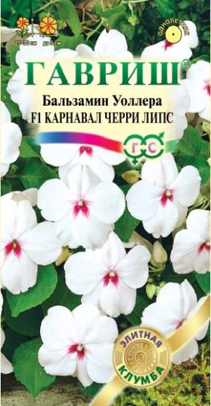 Бальзамин Карнавал черри липс F1 (гавриш) 4шт  – купить в г. Омск