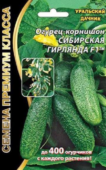 Огурец Сибирская гирлянда F1 (уральский дачник) 5 шт  – купить в г. Омск