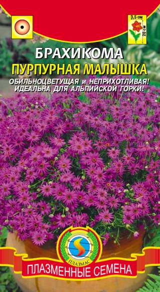 Брахикома Пурпурная малышка (плазмас) 0,05гр  – купить в г. Омск
