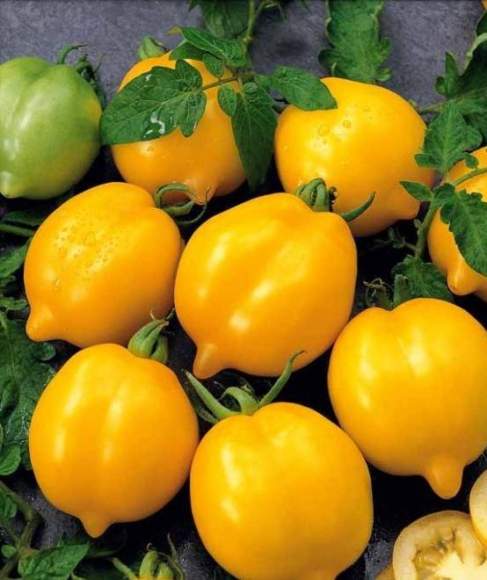 Томат Чудо Света (нк) 0,1гр  – купить в г. Омск