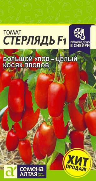 Томат Стерлядь F1 (семена Алтая) 5шт  – купить в г. Омск