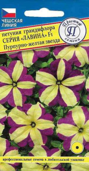 Петуния грандифлора F1 Лавина пурпурно-желтая звезда (престиж) 10 шт  – купить в г. Омск