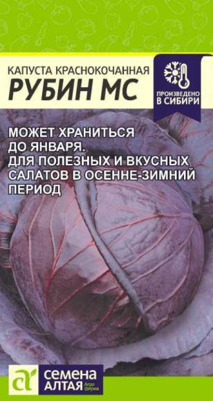 Капуста к/к Рубин МС (семена Алтая) 0,3гр  – купить в г. Омск