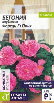 Бегония клубневая Фортун Пинк F1 (семена Алтая) 4 шт