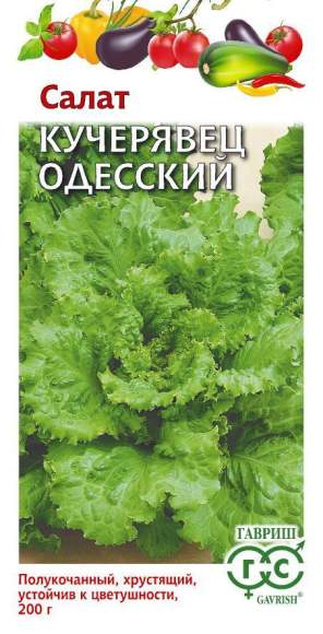 Салат полукочанный Одесский кучерявец (гавриш) 0,5 гр  – купить в г. Омск