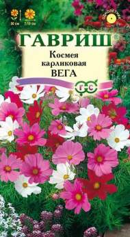 Космея Вега карликовая (гавриш) 0,5 гр